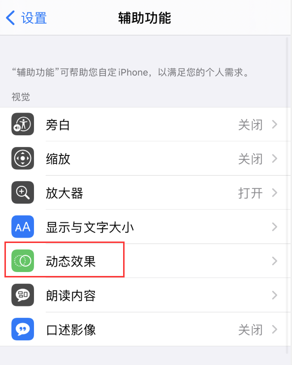 金华苹果手机维修分享iPhone 12 退出应用时没有动画显示，如何设置 